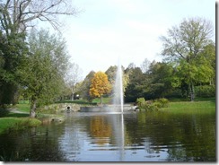 2014-10_Vellmar (11)