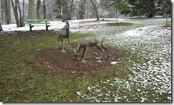 2015-04_La Chaux de Fonds (19)