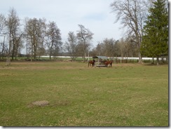 2017-03_Schlosspark, Donaueschingen (17)