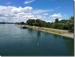 2017-06_Am Rhein bei Breisach (2)