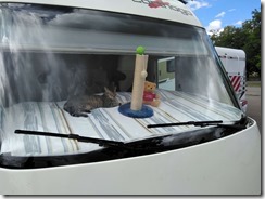 2017-06_Katze on Tour (1)