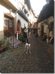 2017-10_Eguisheim_2 (5) 2017-10_Eguisheim_2 (5)