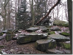 Wildpark Pforzheim (10)