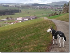 Flugplatz Beromünster (4)