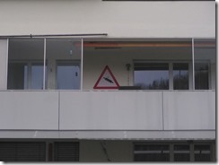 Willisau, Live (3)