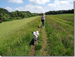 An der Donau (6)