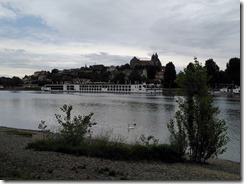 Neif-Brisach (11)