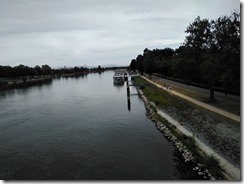Neif-Brisach (1)