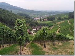 Schloss Staufenberg (18)