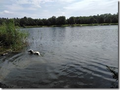 Am Pfuhler See (11)