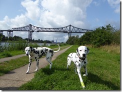 Dalmi Treffen