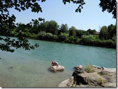 In der Reuss (17)