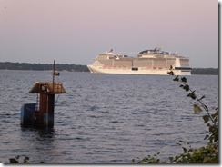 MSC Meraviglia (13)