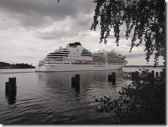 Seaborn Ovation (13)
