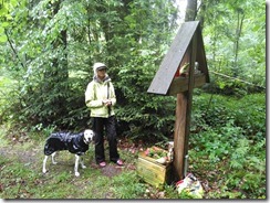 Waldgrab (7)