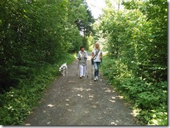 Waldlauf (1)