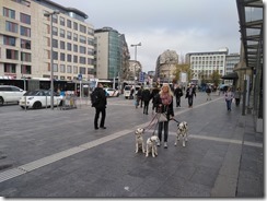 Luxembourg, Bus Bahnhof (1)