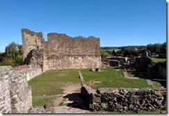Ruine Epinal (4)