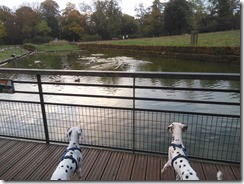 Tiergarten Epinal (4)