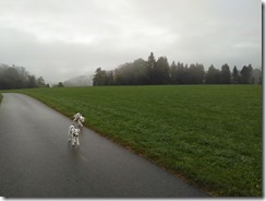 Willisau (2)