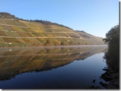 An der Mosel (10)