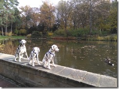 Bürgerpark (4) (640x479)
