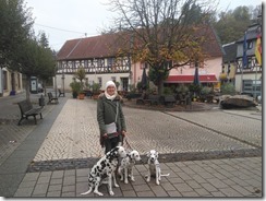 Stromberg (12)