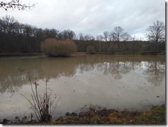 Wolfsee, Scheinfeld (2)