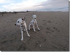 Strand von Sete (11)