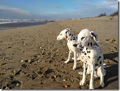 Strand von Sete (3)
