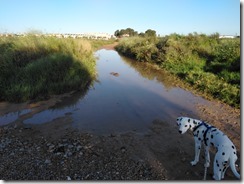Morgen Spaziergang (10)