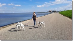 Delfzijl (5) (640x360)
