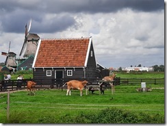 Zaans Museum (11) (640x480) (640x480)