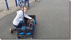 20201013_143647 (640x360)
