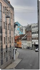 Aarhus (1) (45) (360x640)