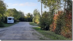 Schlafplatz Hornis (1) (640x360)