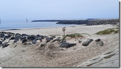 Thorsminde Havn (1) (11) (640x360)
