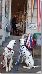 Sonja beim Einkaufen (1) (8) (360x640)