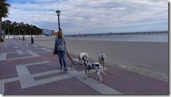Los Alcazares 27 (1) (9) (640x360)
