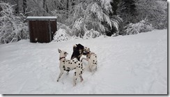 Schnee in Littau (1) (34) (640x360)