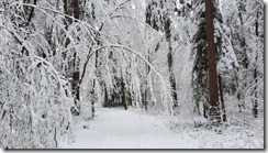 Winterwunderland (1) (4) (640x360)