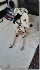 Cora 13 Jahre (1) (2) (360x640)