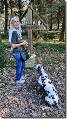Auf dem Weg zu Herr Hans (1) (6) (360x640)