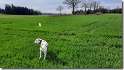 Neuenkircher Wald_07 (1) (3) (640x360)