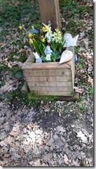 Neuenkircher Wald_07 (1) (360x640)