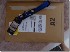Amazon_11 (640x480)