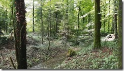 _Sagibach 01