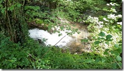 _Sagibach 02