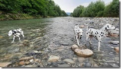 An der Emme_25 (1) (5) (640x360)