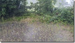 _Hagelschutz 03